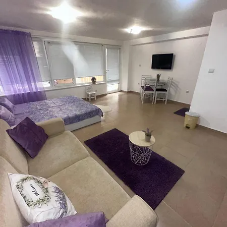 House Velevi *