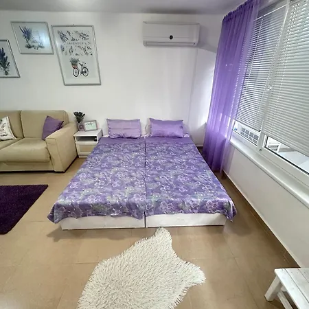 Apartment House Velevi