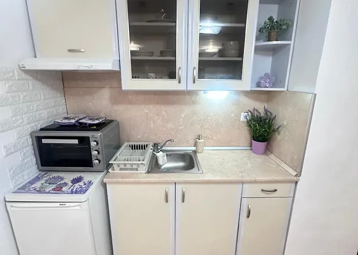 House Velevi *