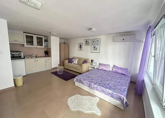 公寓 House Velevi *